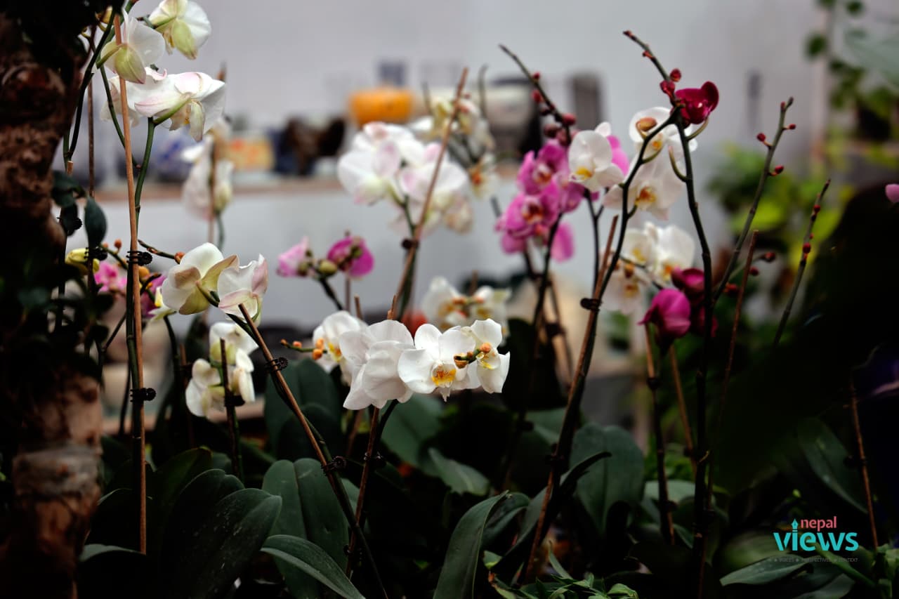 18th Godavari Flower Exhibition-11