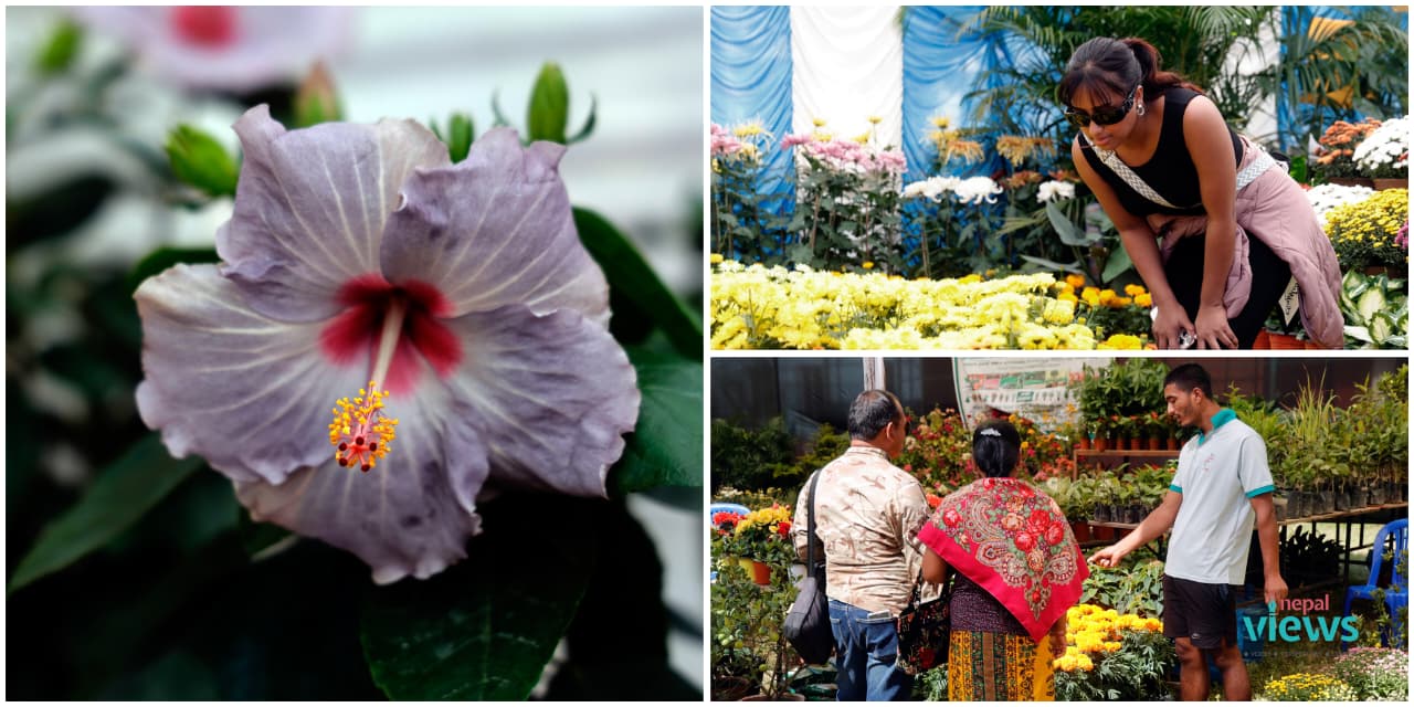 18th Godavari Flower Exhibition in Lalitpur (Photo Feature)