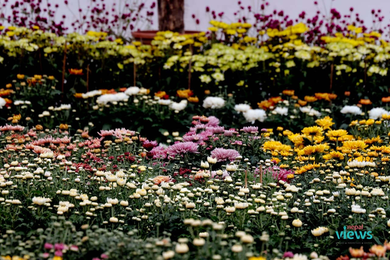 18th Godavari Flower Exhibition-5