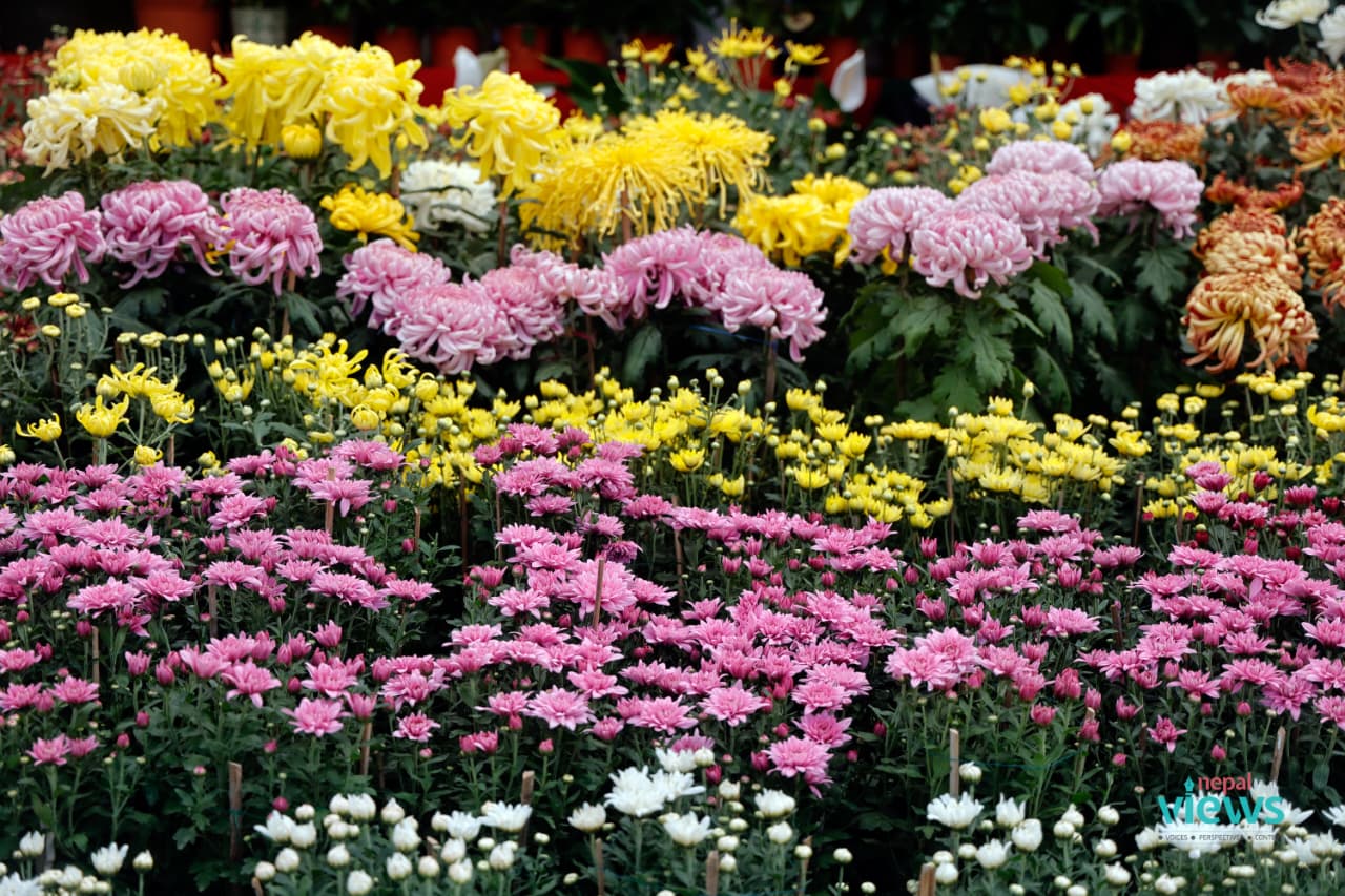 18th Godavari Flower Exhibition-8