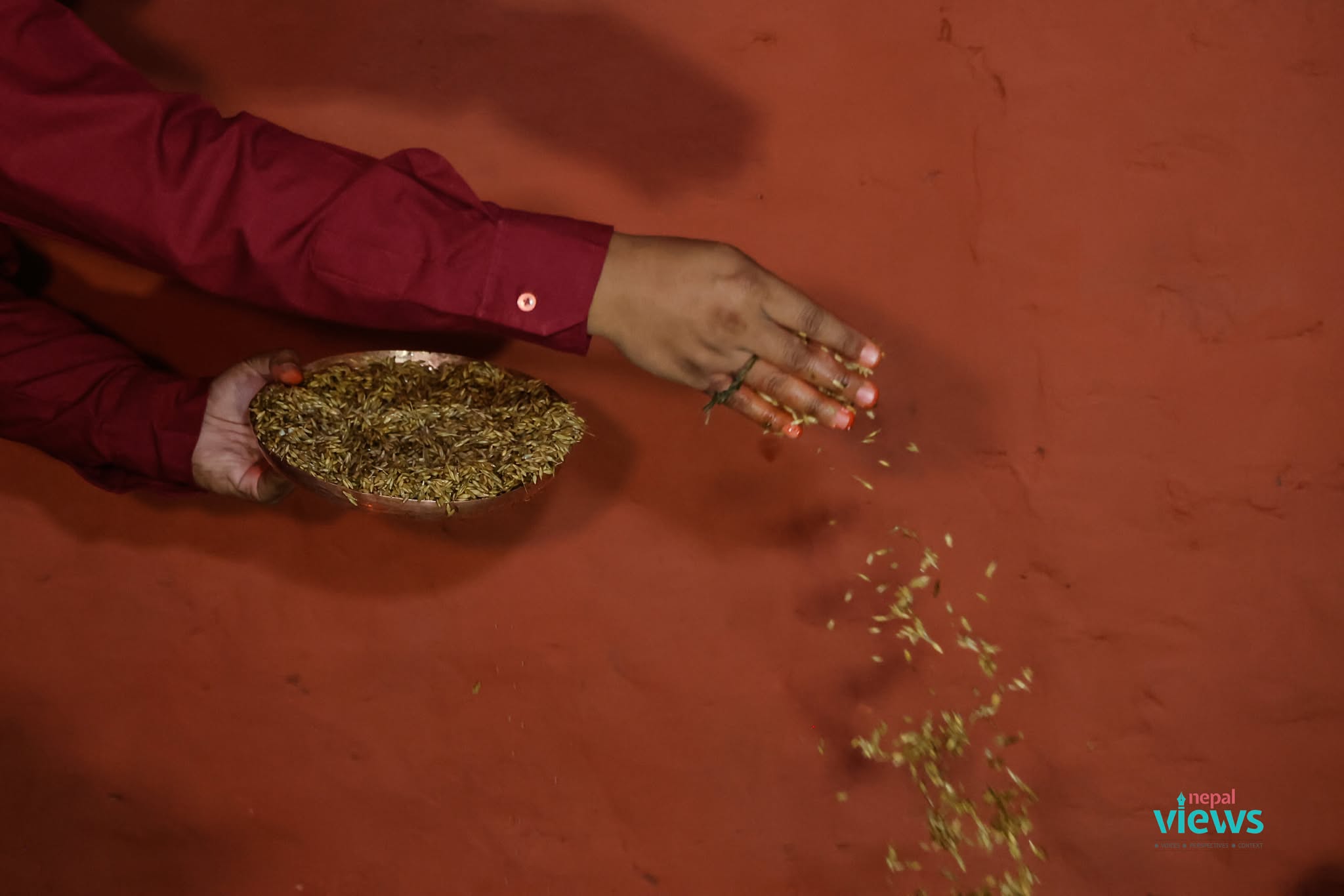 551591753_1418433289_rXw8ofqLiZ