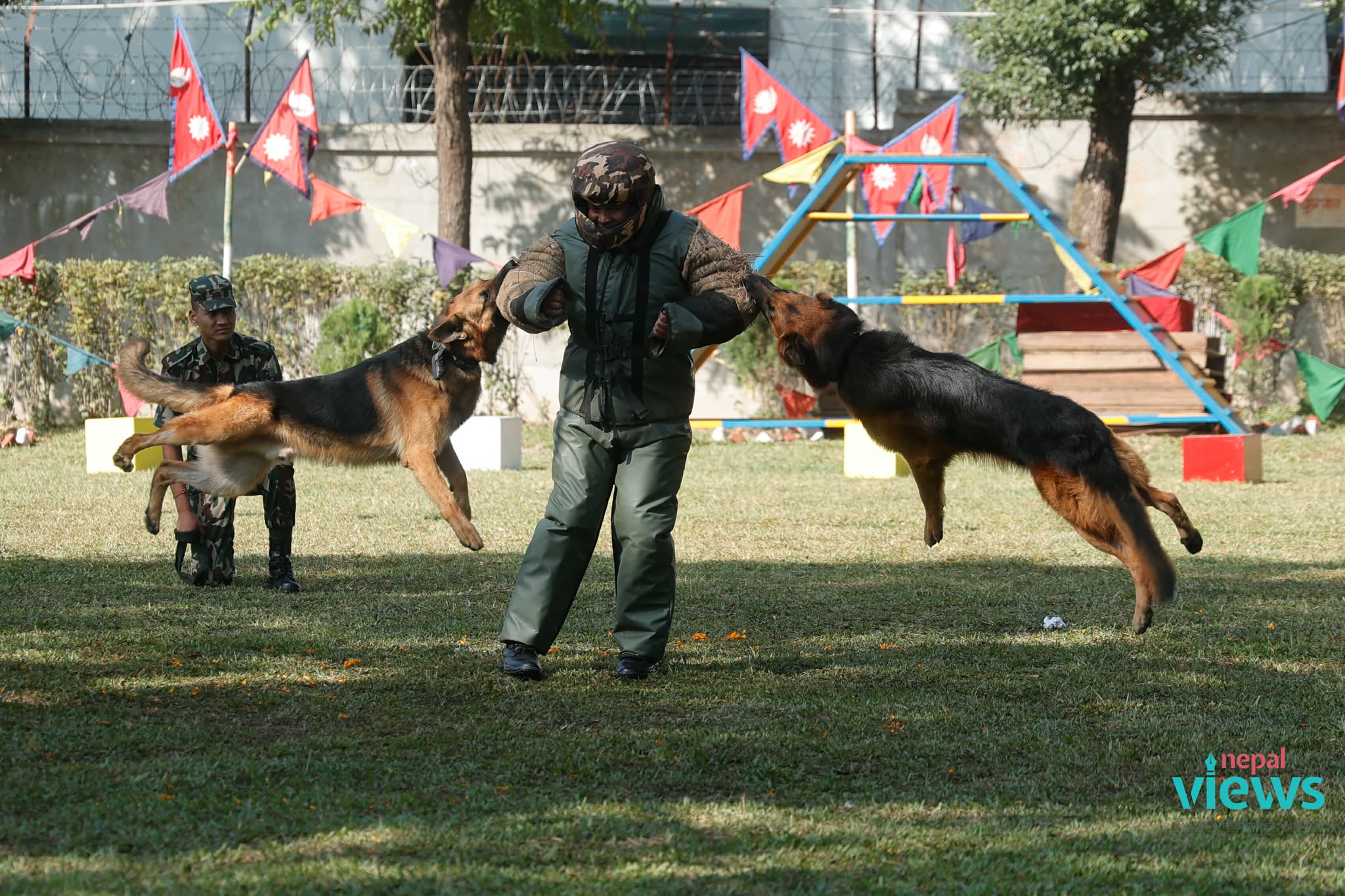 Nepal Army celebrates Dog Tihar (Photos)