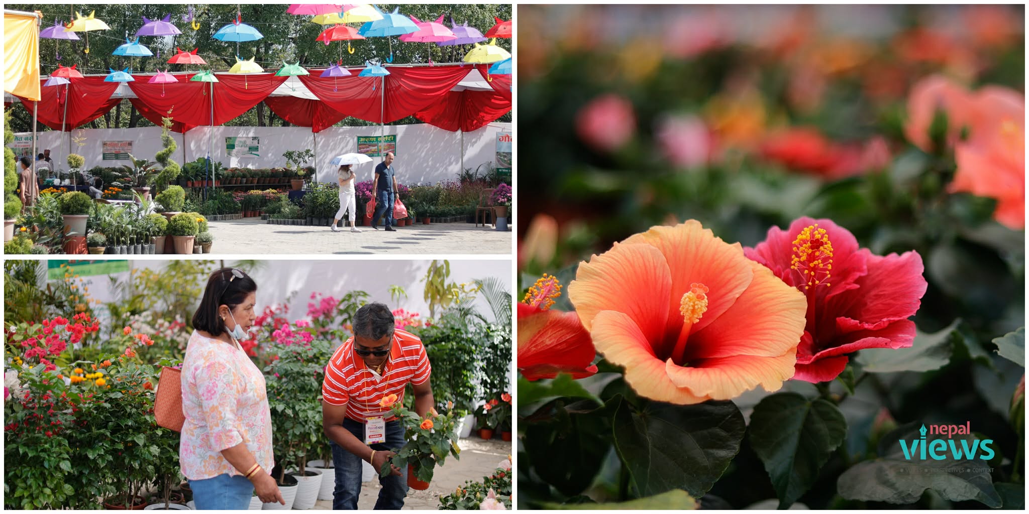 Third Tihar Flora Expo at Bhrikutimandap (Photos)