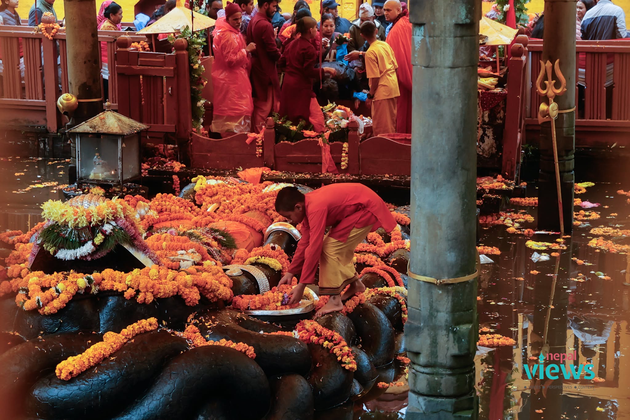 Haribodhini-Ekadashi-2