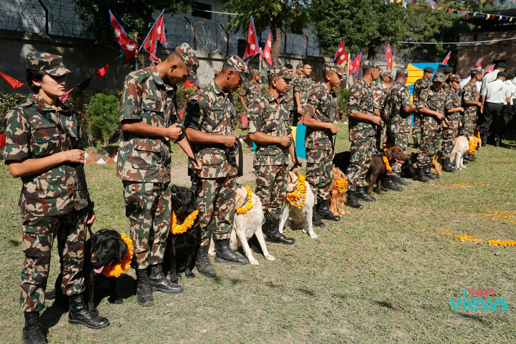 kukur-tihar-(15)_IZ8vGz3KLZ