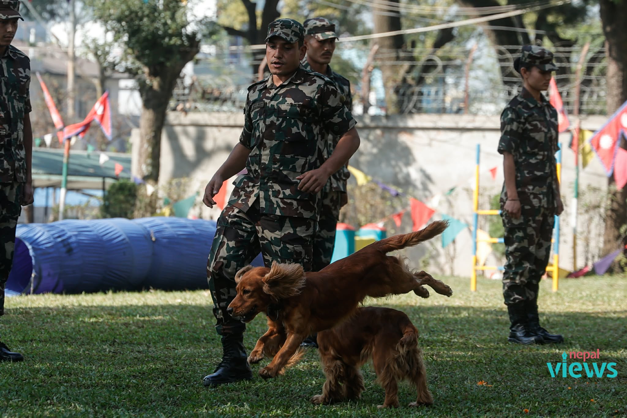 kukur-tihar-(18)_e1EUswxdoc