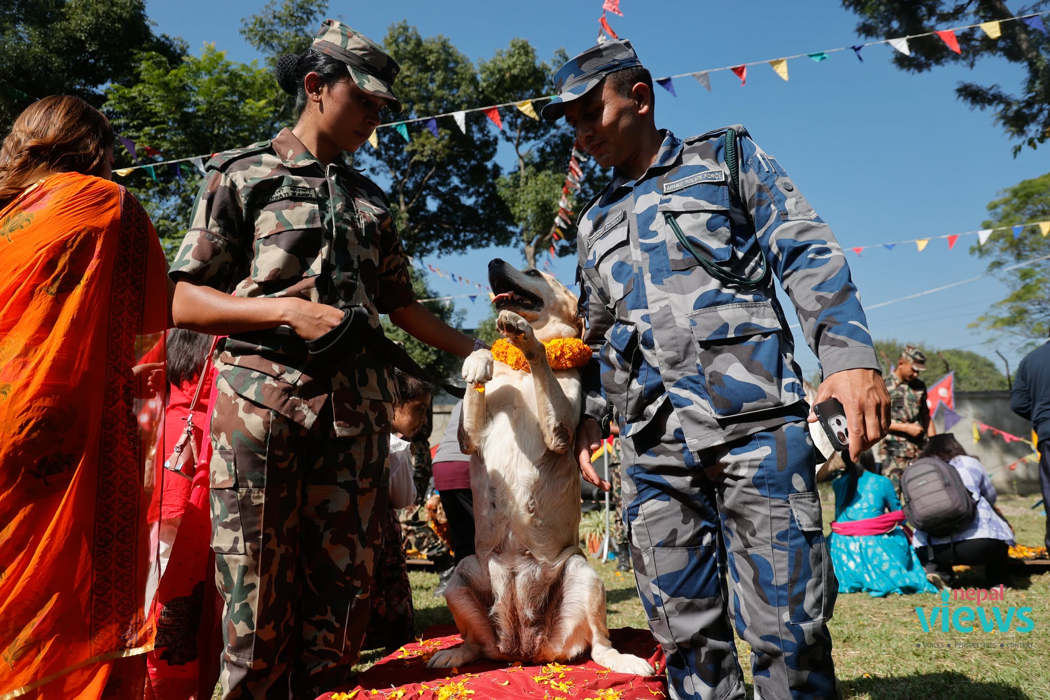 kukur-tihar-(19)_qtlWTKcRiI