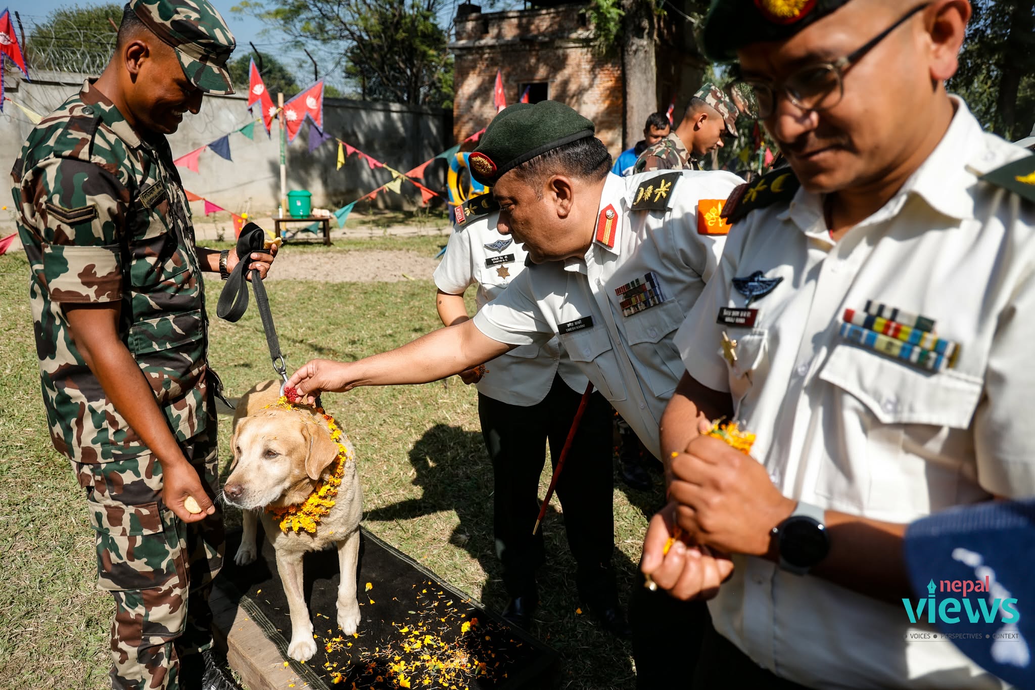 kukur-tihar-(21)_mUXnWVriRD