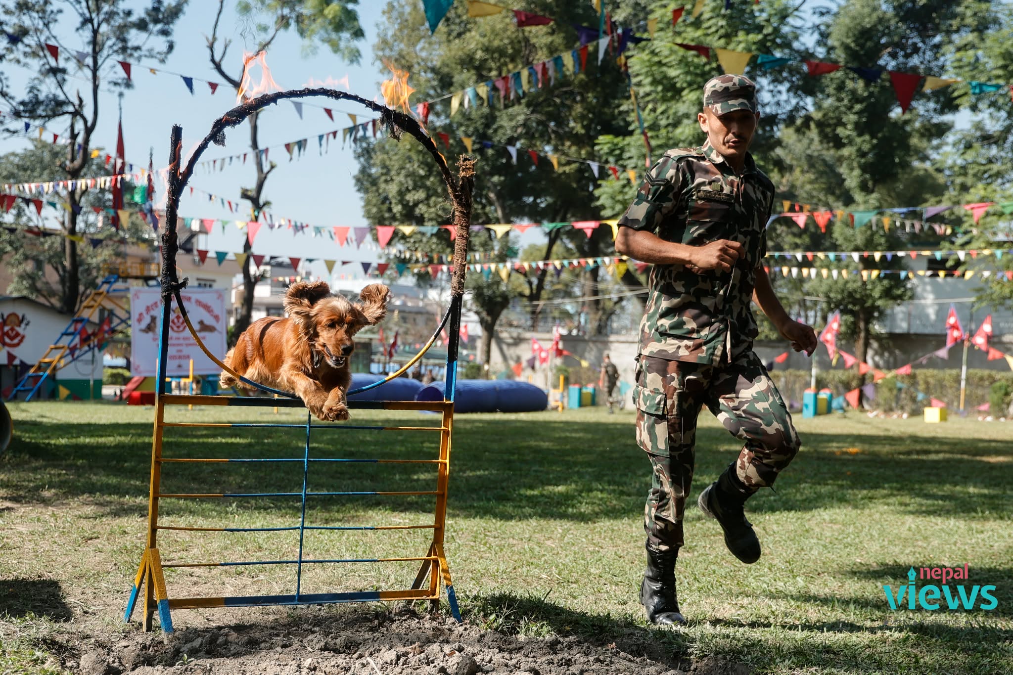 kukur-tihar-(23)_7I895yrIw7