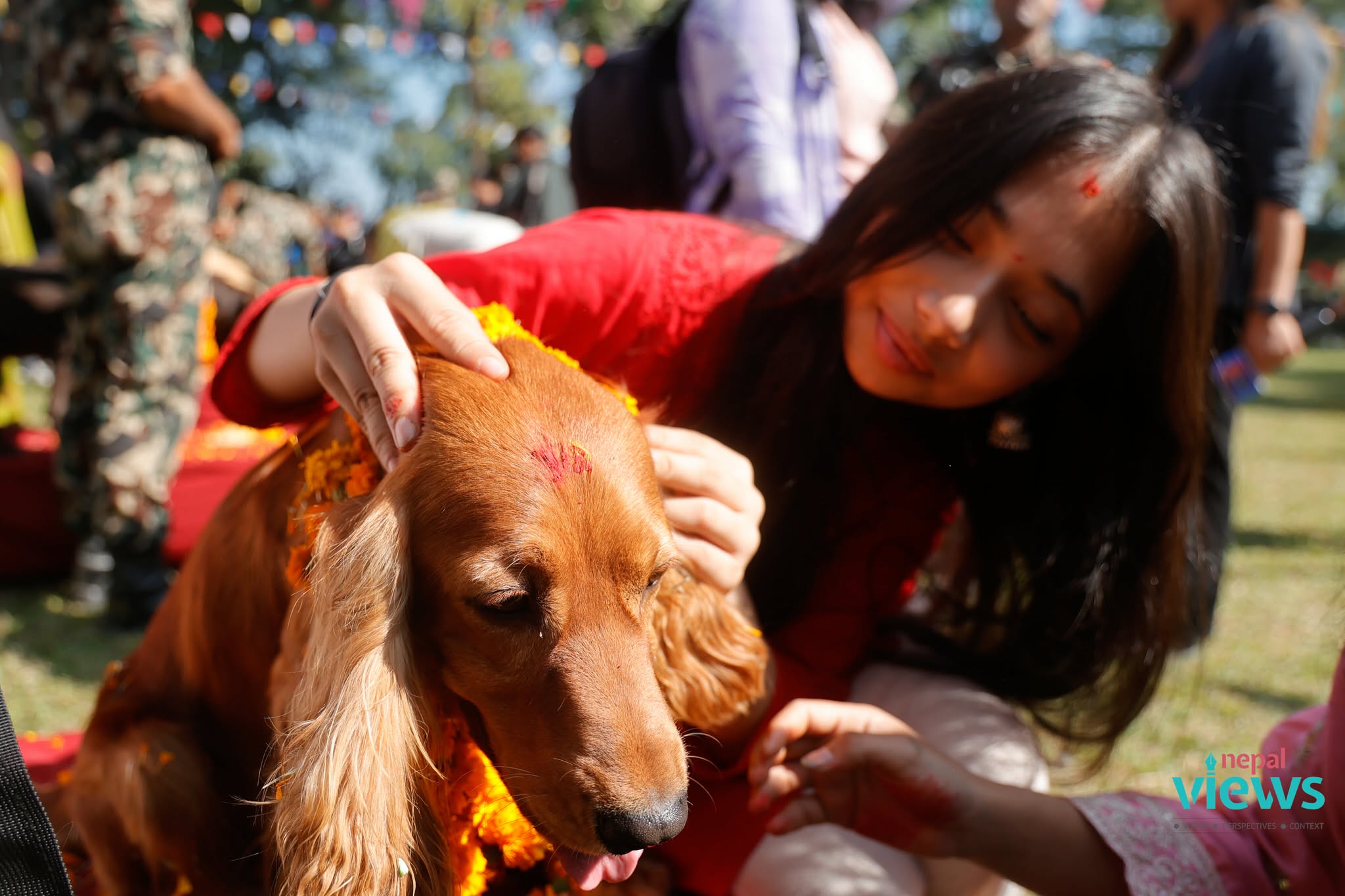 kukur-tihar-(24)_UhQw060Sal