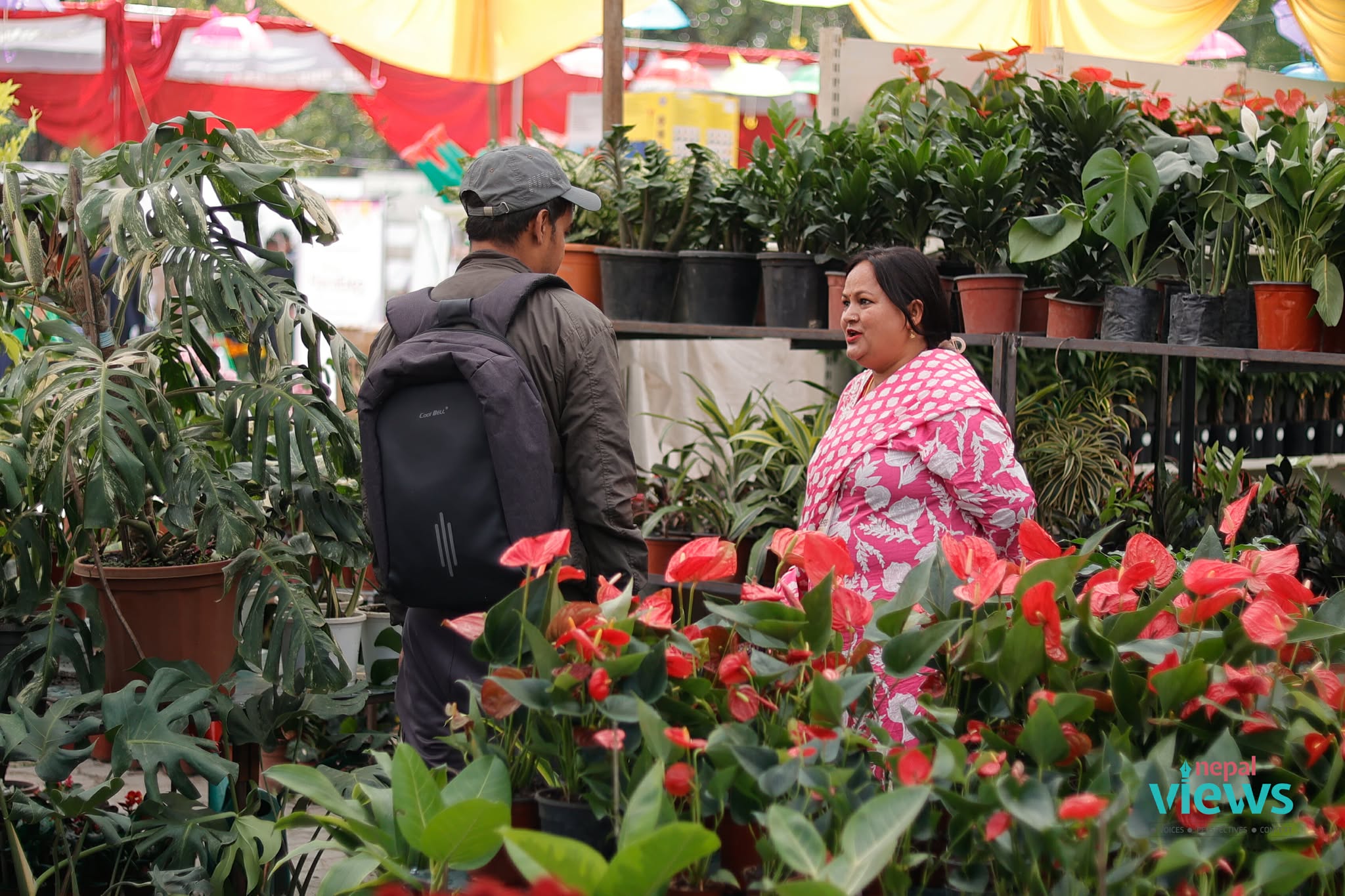 puspa-mela-(16)_Cnibf4h51M