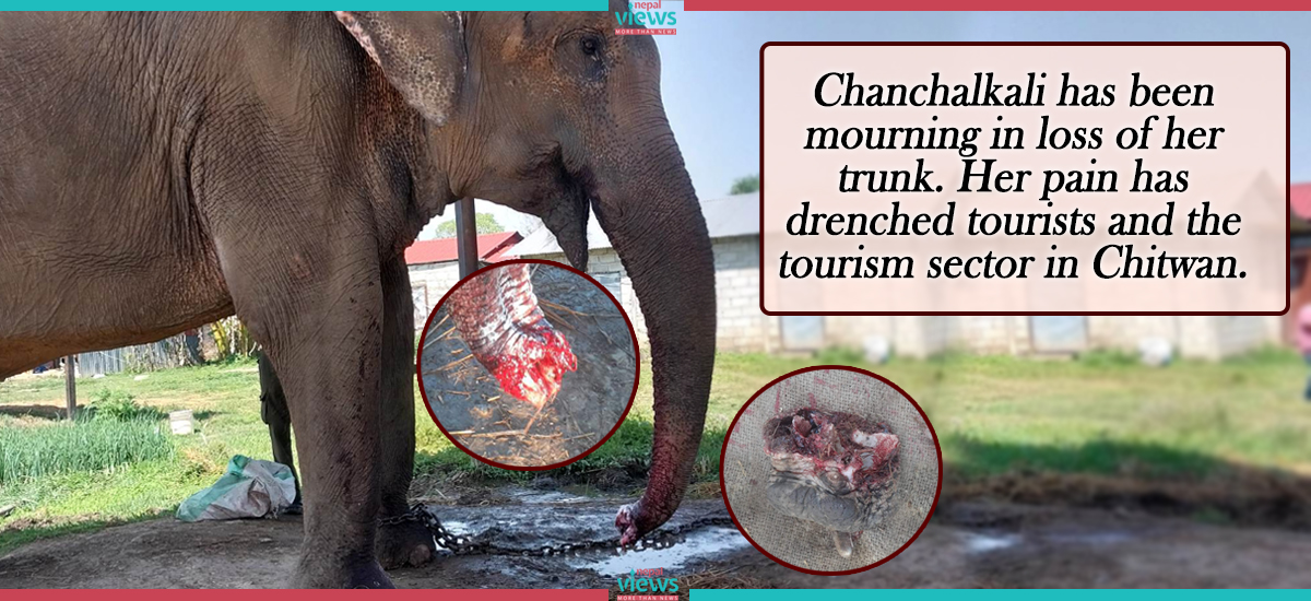 Criminal Eye on Chanchalkali's Trunk, Police in search of cruel attackers