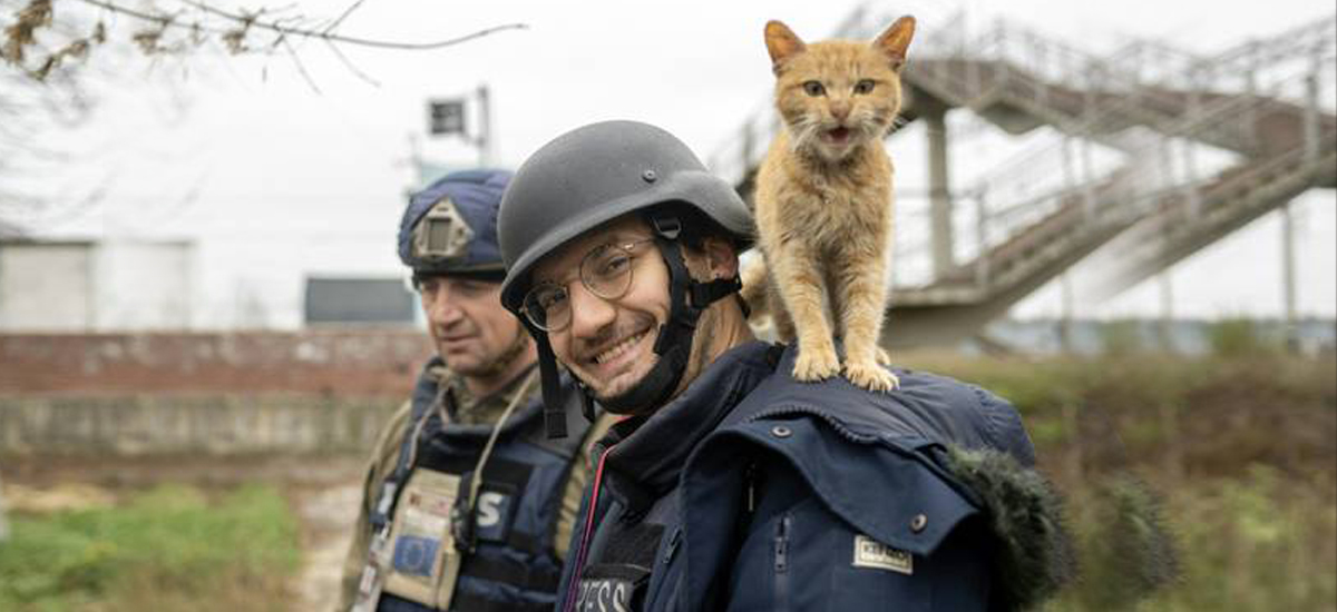 Rocket fire kills AFP journalist in eastern Ukraine