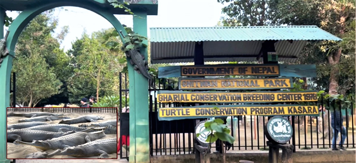 222 animals rescued at CNP; 76 dead