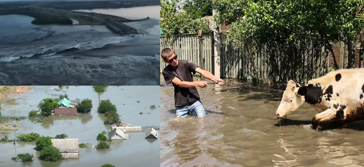 Ukraine and Russia blame each other for Kakhovka dam's collapse; Flood affects lives