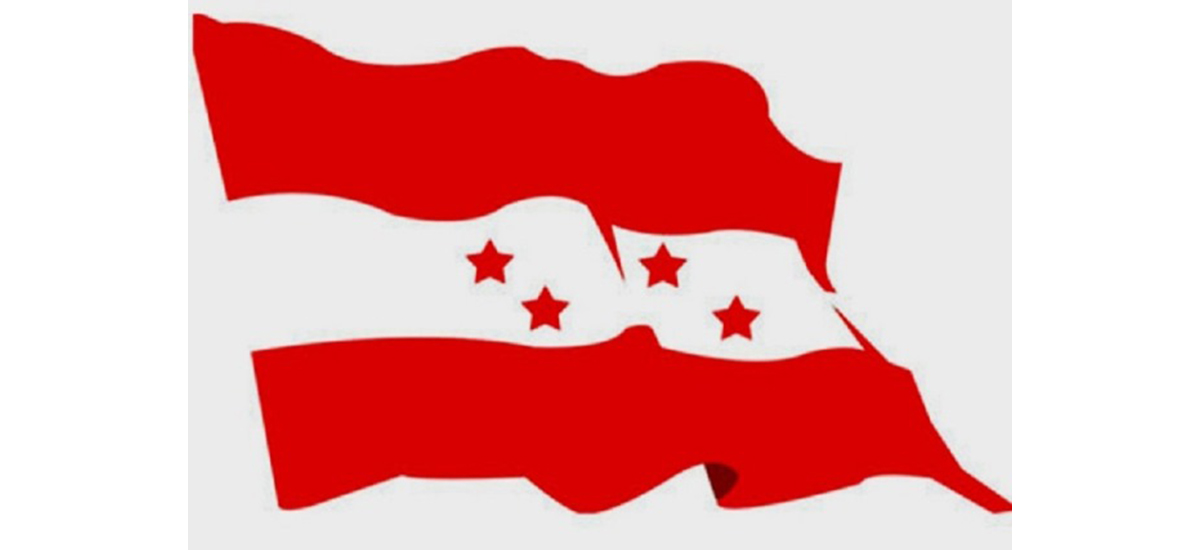 NC for institutionalizing democracy: Joint General Secretary Pandey