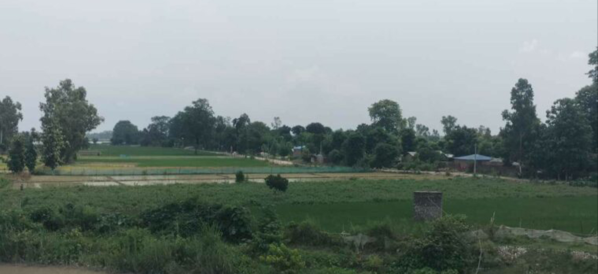 Kutiyakabar locals in constant fear of being swept by swollen Mahakali, Jogbudha rivers