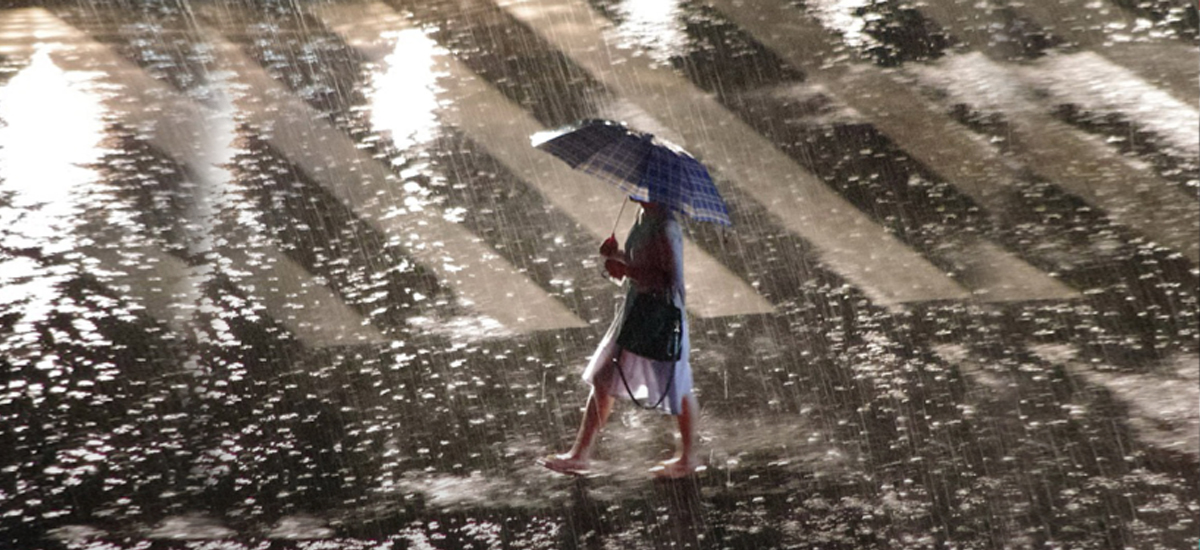 Rain-triggered disasters kill 33, 5 dead in rescue operations in Beijing rainstorm