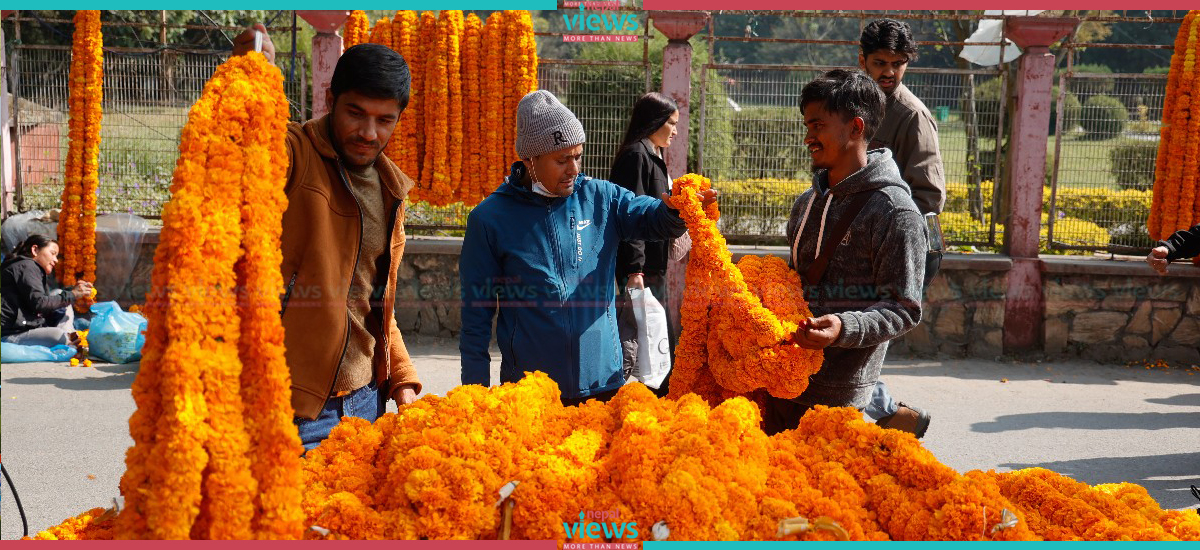 Marigold at Bhrikuti Mandap (Photo Feature)