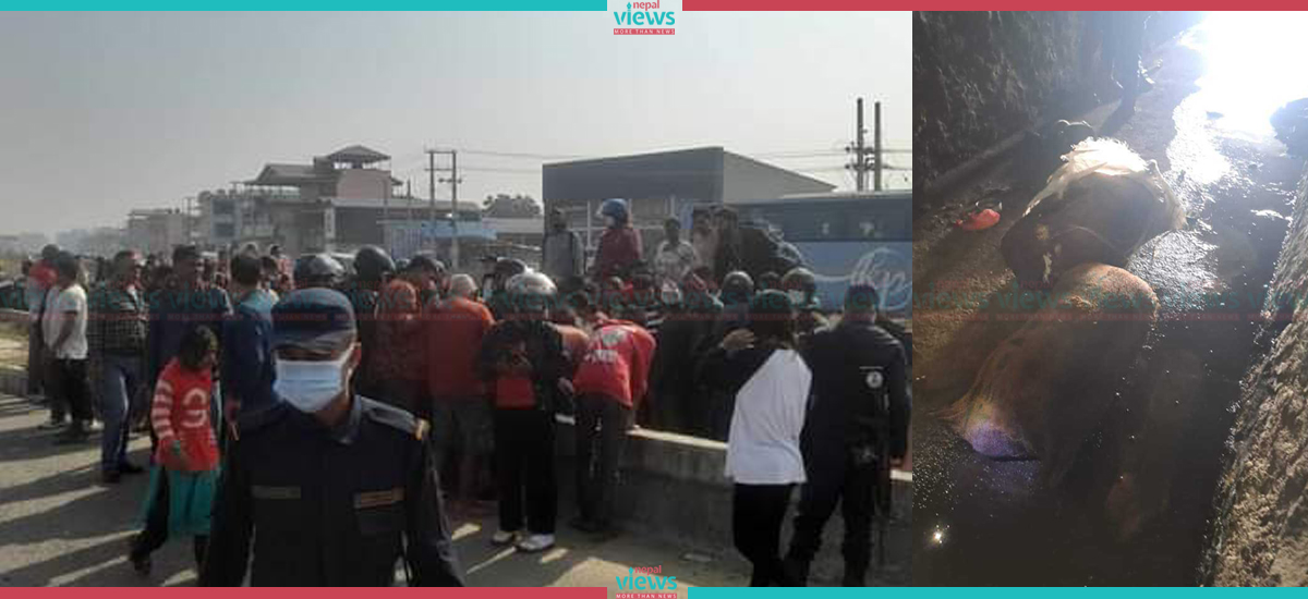 Dead bodies identified as Indian nationals