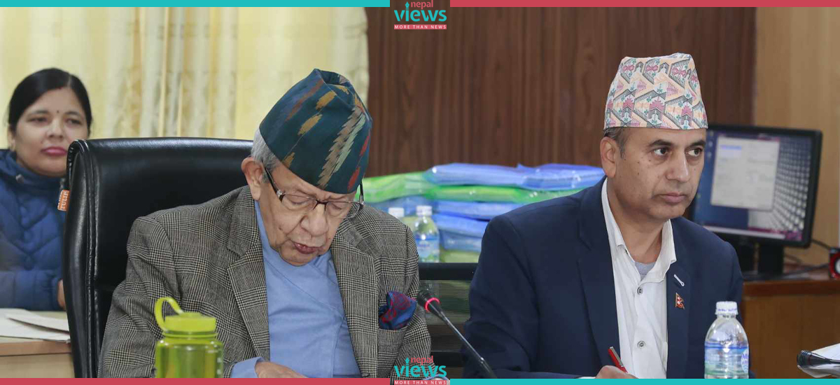 11 writ against recommended Portugal Ambassador and Proposed Judge for Supreme Court