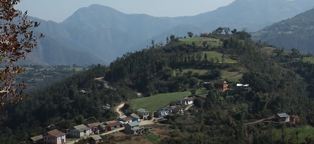 Households wait for compensation after wildlife menace