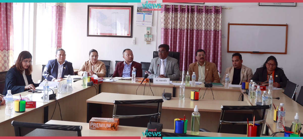 Parliamentary Committee directs NAC to submit details of narrow body aircraft purchase process within 15 days