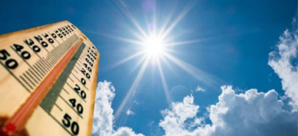 Excessive heat results in death of 568 people in Pakistan in last 6 days