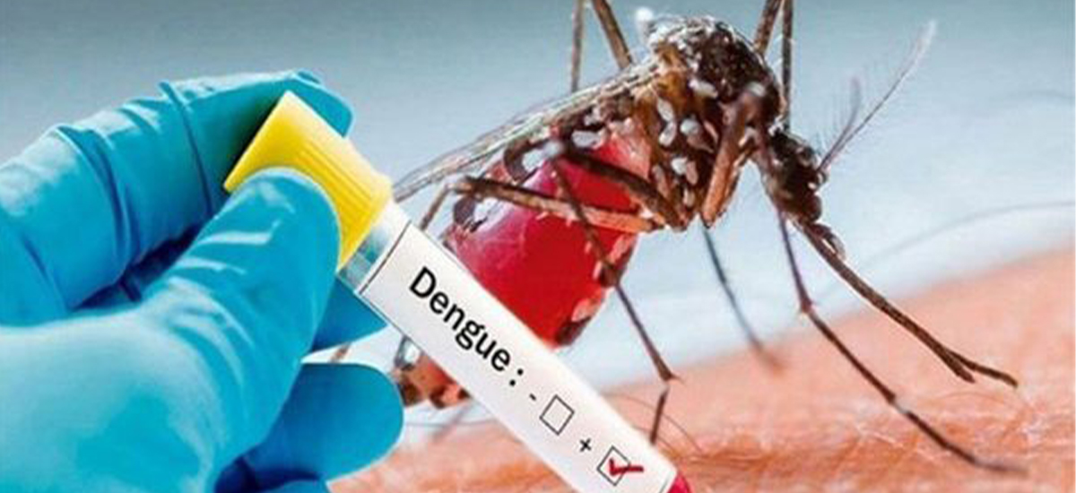 Dengue infection decreasing