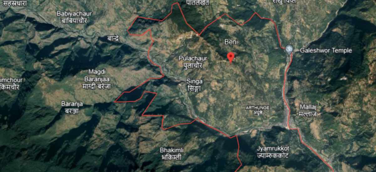 Human skeleton found buried in forest