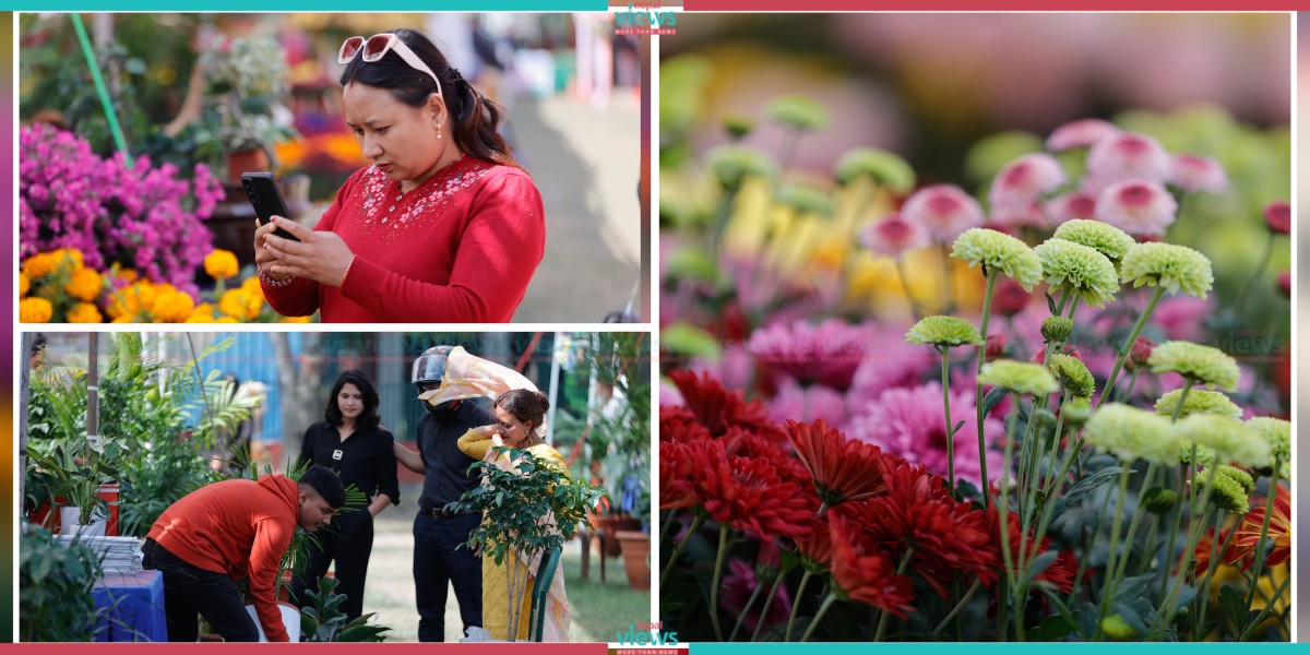 Exhibition of Godavari Flowers in Jawalakhel (Photo Feature)