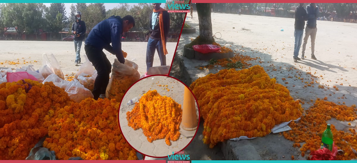 KMC designates places to sell flowers for Tihar (Including List)