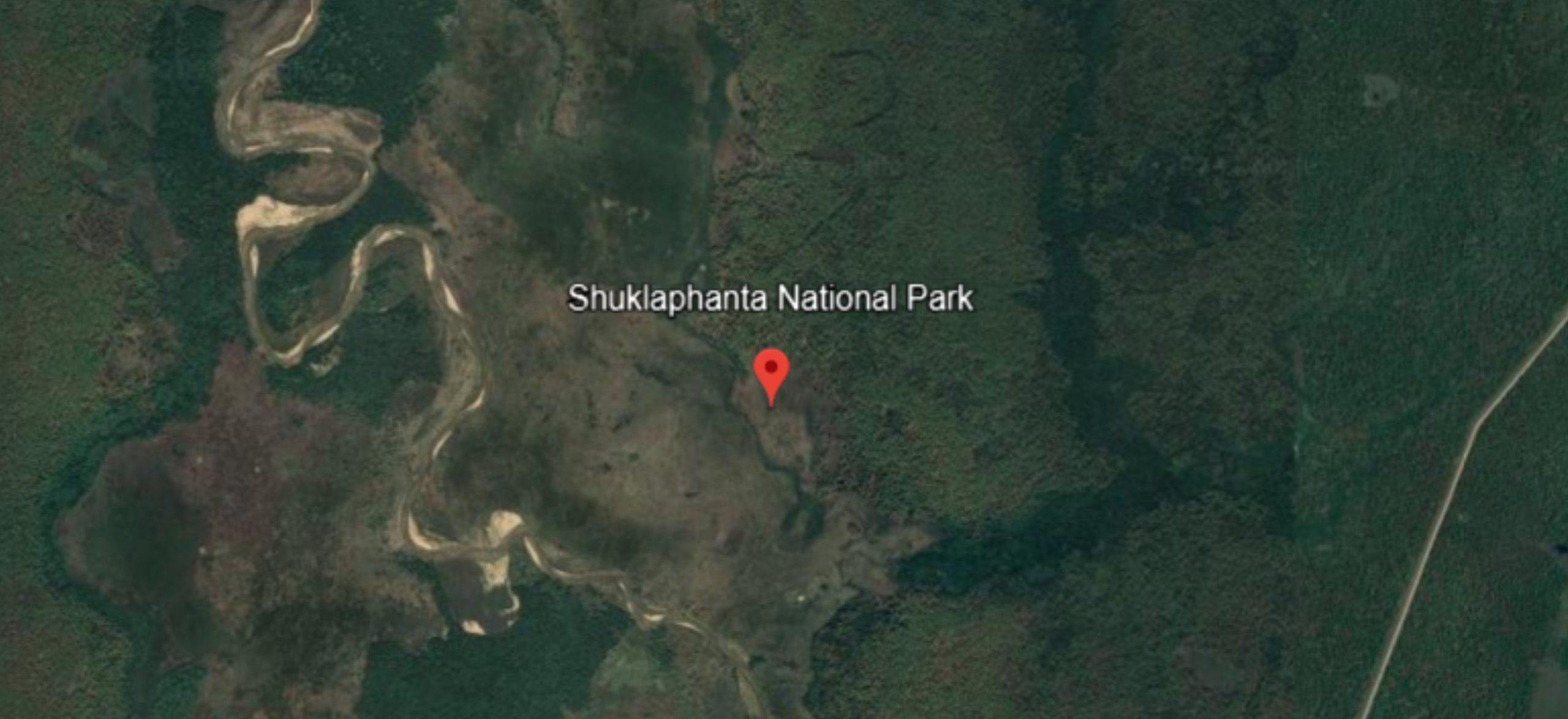 Tamed tiger to be released in national park