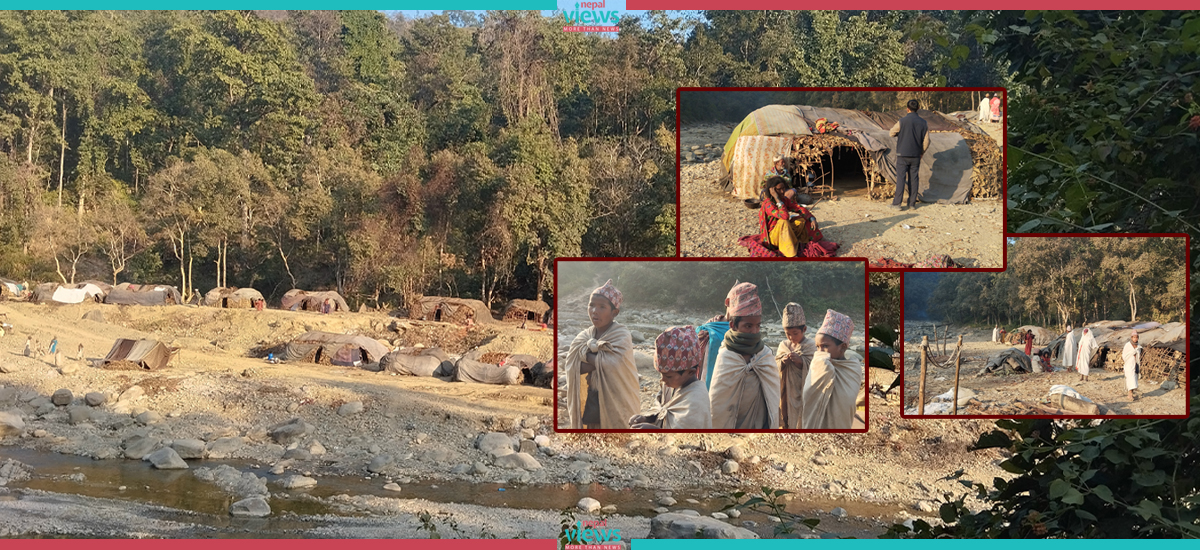 Raute suffering from food shortage and temperature drop (Photos)