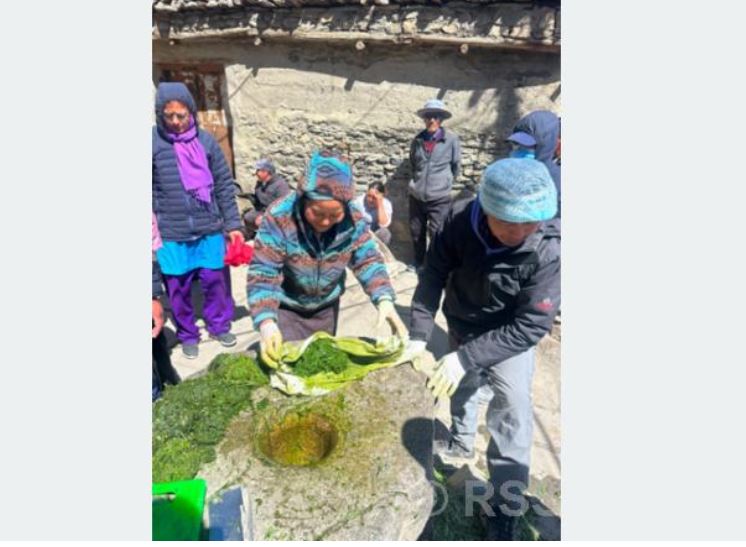 विषादीको विकल्पमा ‘जैविक झोल’