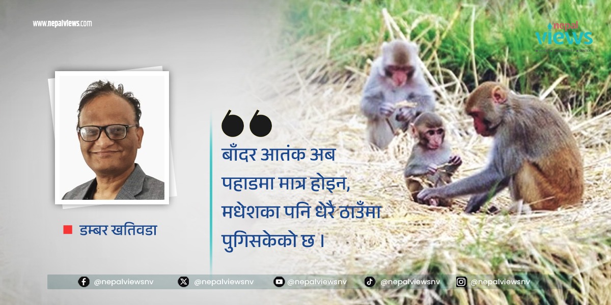 गम्भिर भइसक्यो बाँदर आतंकः ‘हल्का रमाइलो’ विषय नठान !