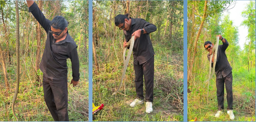 १ हजार ३ सय सर्पको उद्धार, जोखिमसँग खेल्दै जनचेतना फैलाउँदै